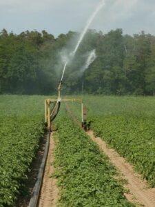 Irrigation