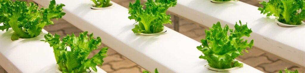 agriculture innovation